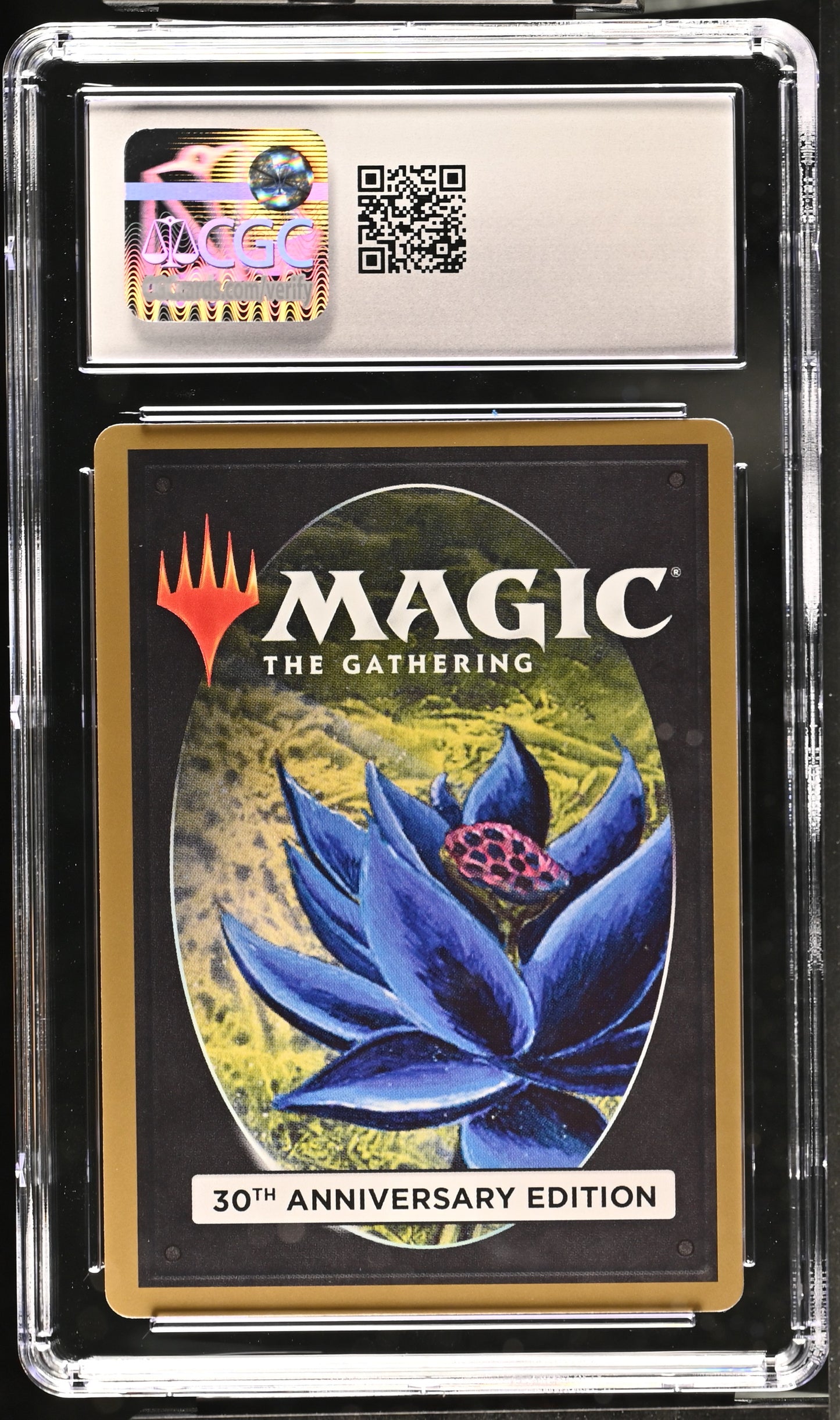 Wanderlust | 30th Anniversary Edition | Uncommon | Retro-Frame | CGC | Mint 9