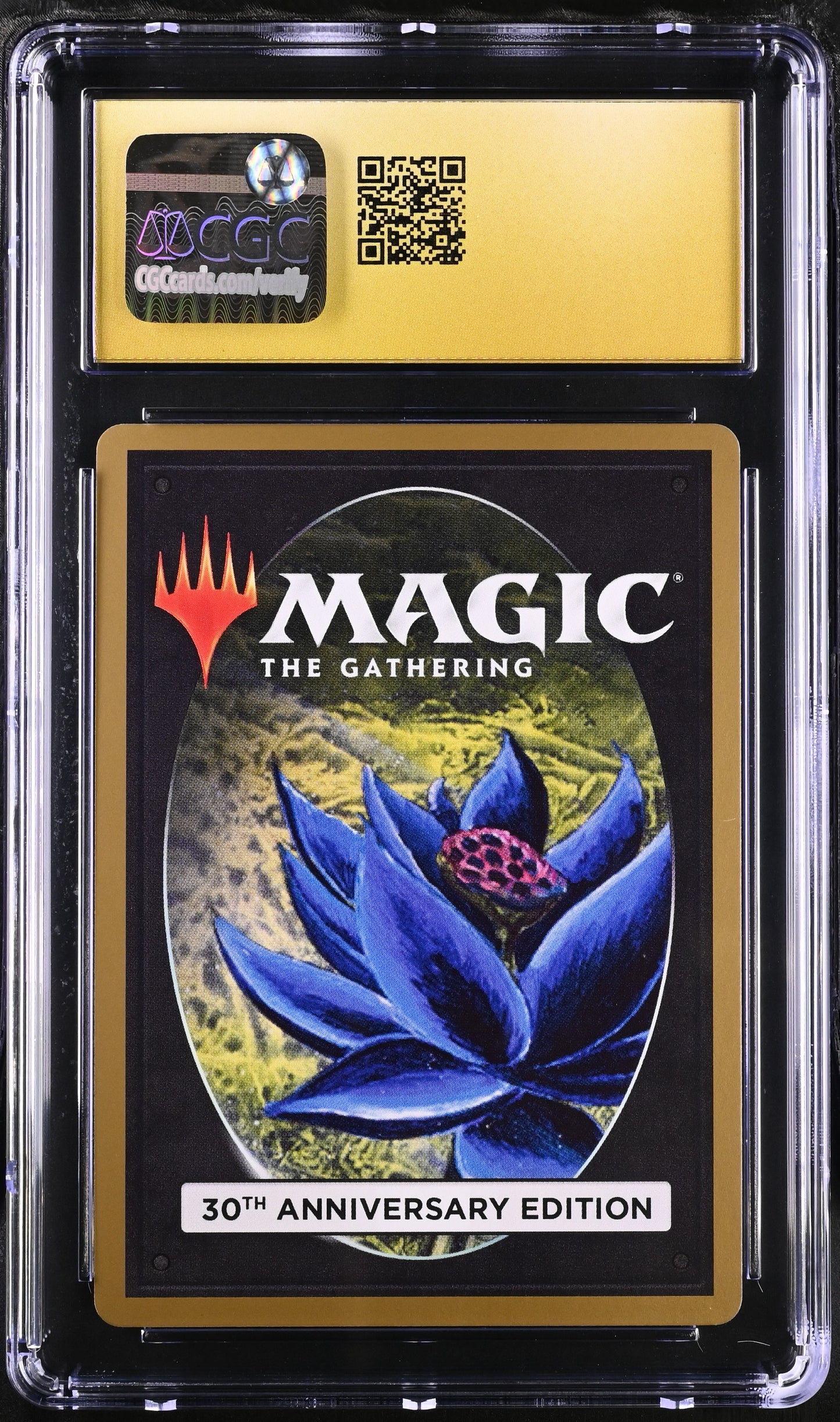 Fireball | 30th Anniversary Edition | Common | CGC | Pristine 10