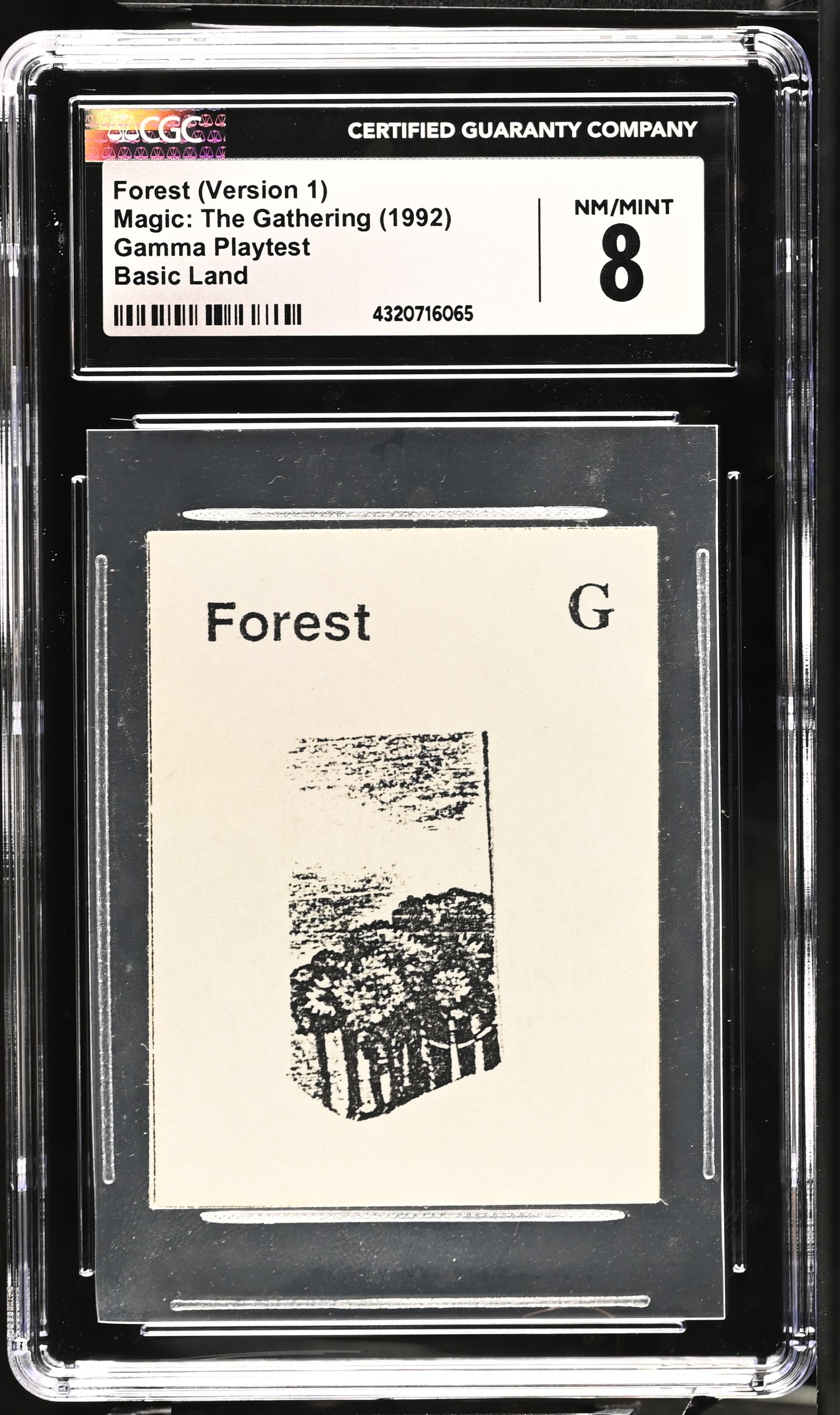 Forest (Version 1) | Gamma Playtest | CGC | NM/Mint 8