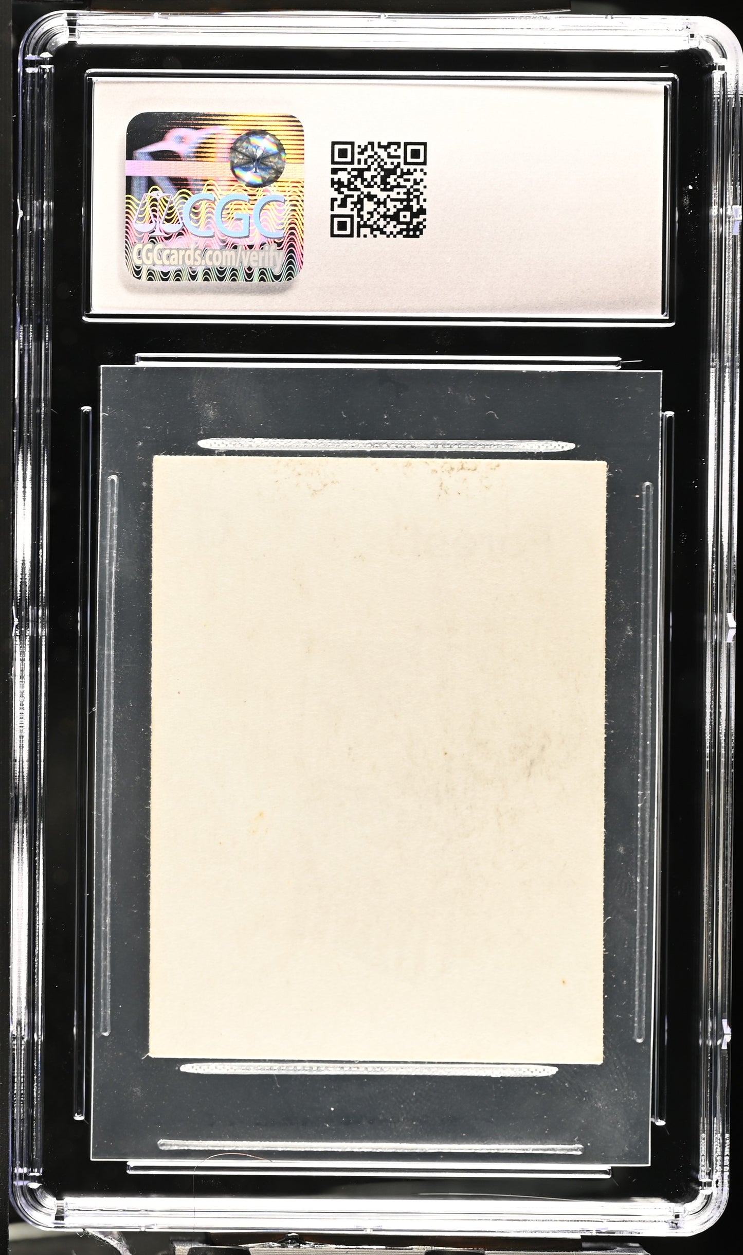 Forest (Version 1) | Gamma Playtest | CGC | NM/Mint 8