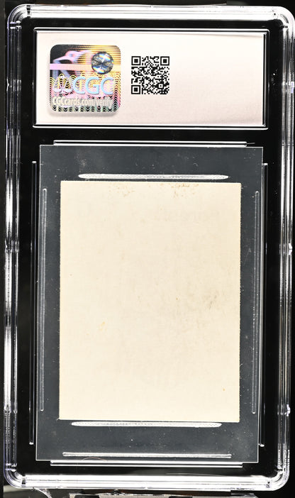 Forest (Version 1) | Gamma Playtest | CGC | NM/Mint 8