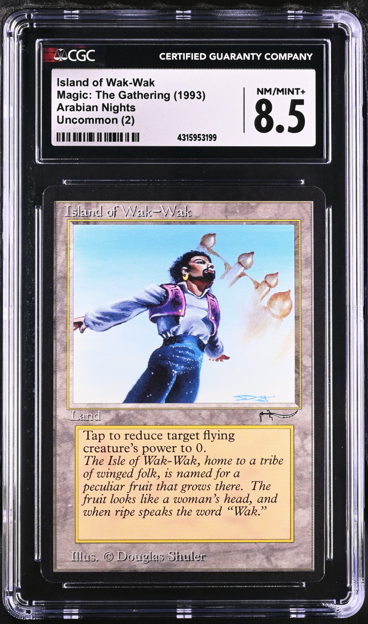 Island of Wak-Wak | Arabian Nights | Rare | Non-Foil | CGC | NM/Mint+ 8.5