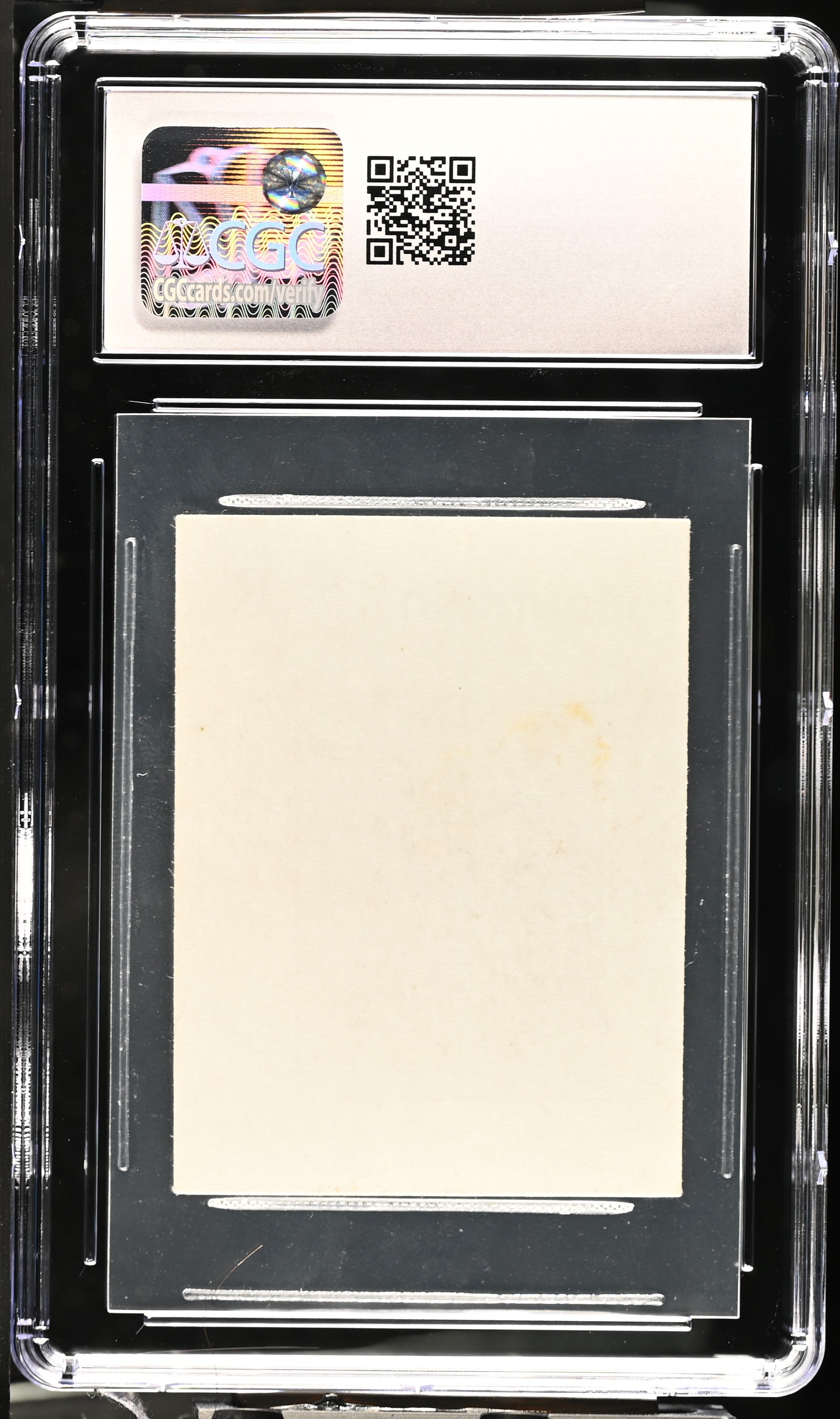 Mountain (Version 2) | Gamma Playtest | CGC | NM/Mint+ 8.5